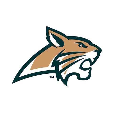 Baseball Game Preview: Apalachee Wildcats vs. East Jackson Eagles