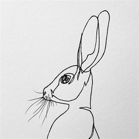 Continuous Line Contour Drawing 的图像结果