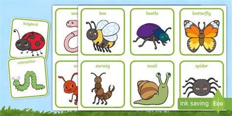Cute Minibeast Picture Cards