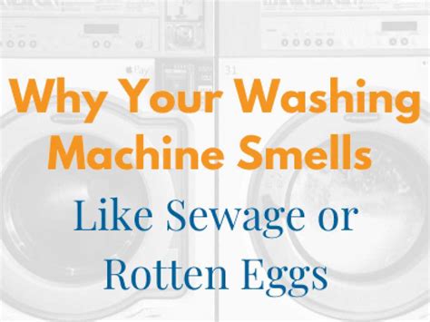 Image result for Washing Machine Smell Solutions