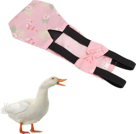 Yuehuamech Pet Chicken Diapers Duckling Diaper | Ubuy India