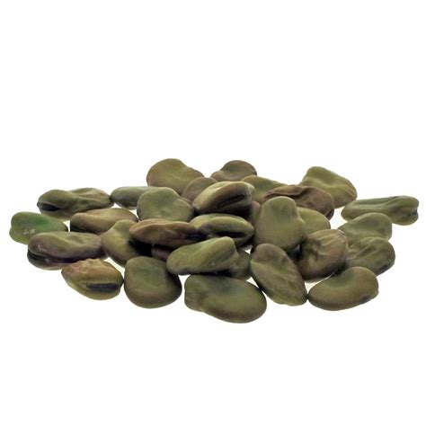 Fava Bean 'Hangdown' (Vicia faba) organic - approx. 20 seeds