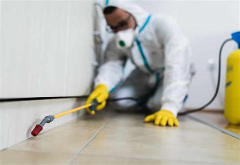 Cockroach Extermination Method 的图像结果