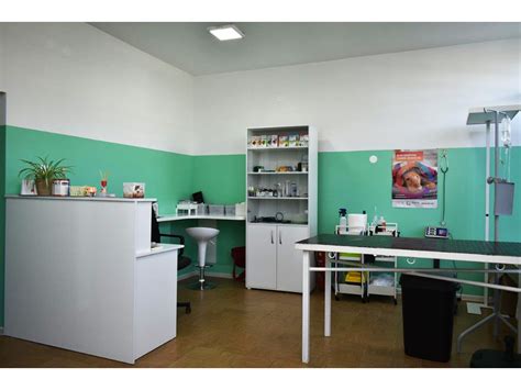 BLOK VET | Veterinarska ambulanta Novi Beograd, dezurni veterinar ...
