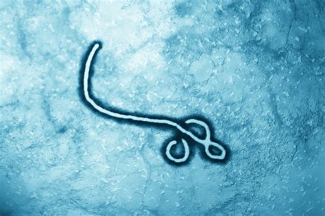 最可怕传染病“埃博拉病毒”有了克星，全球首个疫苗获批_腾讯新闻