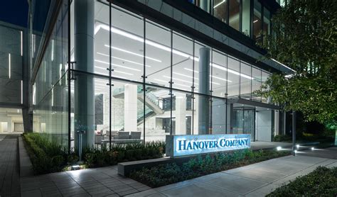 Global Local Support 的图像结果