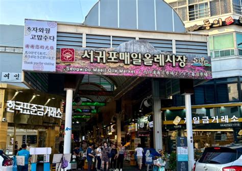 [Hotel pick up] Jeju UNESCO Day Tour - Klook India