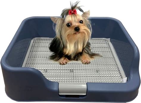 PS KOREA Indoor Dog Potty Tray with Leak-Proof India | Ubuy