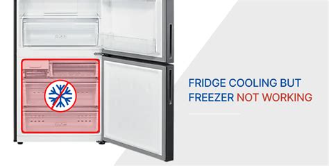 Image result for Fridge Problems