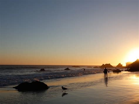 The Best Beaches in Los Angeles | Discover Los Angeles