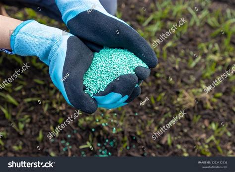 Grass Seed: Over 442,079 Royalty-Free Licensable Stock Photos ...