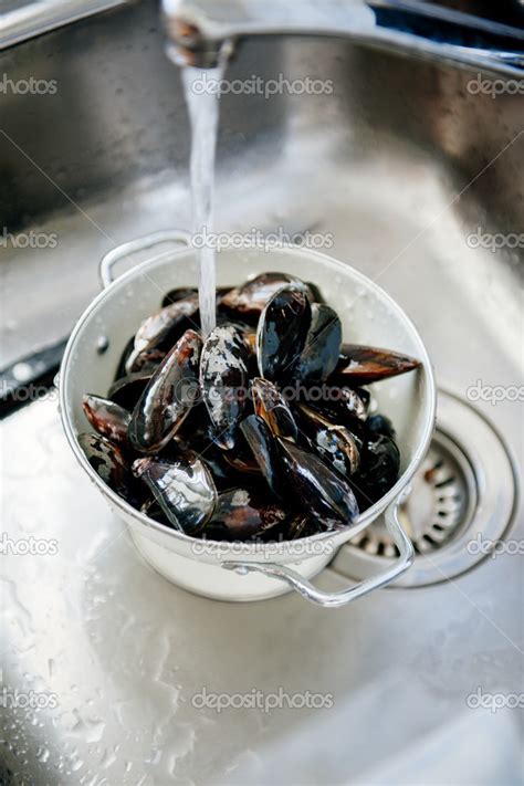 Washing Mussels 的图像结果