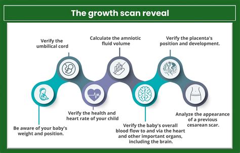 Growth Scan Dates in Prenatal Care: A comprehensive guide - 2023