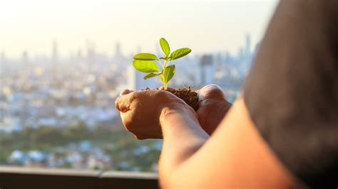 Local Sustanability 的图像结果