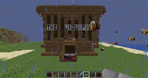 How to Make a Multiplayer World in Minecraft Java 1.16.4 的图像结果