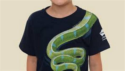 10岁男孩衣服上有“蛇”太吓人 机场安检要求脱掉才能登机 - 航空要闻 - 航空圈——航空信息、大数据平台