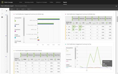 推播通知報告 | Adobe Campaign