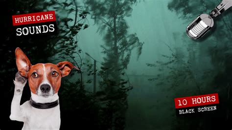 Thunder Lightning Rain Weather 的图像结果