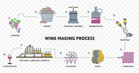 Wine Making Process 的图像结果