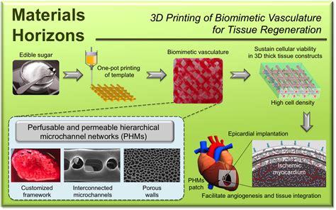东华大学游正伟教授团队在3D打印和再生医学领域最新研究成果_中国聚合物网科教新闻