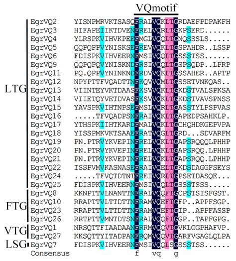 Genome-Wide Characterization, Evolution, and Expression Profiling of VQ ...