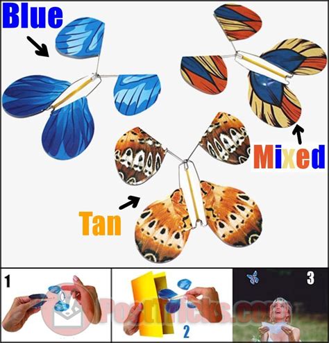 Image result for Magic Flying Butterfly Pattern