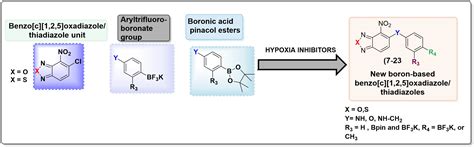 Design and Synthesis of New Boron-Based Benzo[c][1,2,5]oxadiazoles and ...