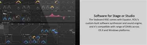 Roli Seaboard Rise 25 MIDI Controller : Amazon.in: Musical Instruments