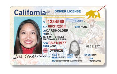DMV to Offer REAL ID Driver License and ID Cards January 22 ...