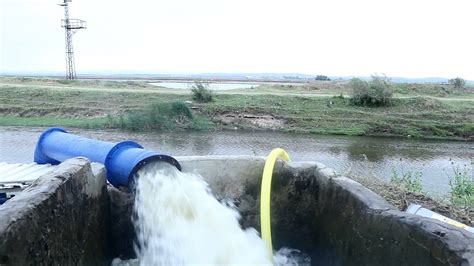 Image result for Planting Saplings Tutorial