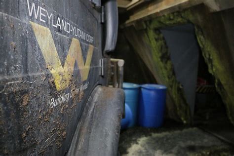 Image result for Alien vs Predator Haunted House