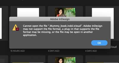 Image result for Adobe InDesign File Recovery