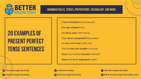 20 Examples of Present Perfect Tense Sentences