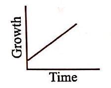 Which one is the correct graph for arithmetic growth