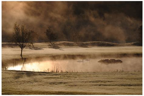 JP London X Solvent Free Poster Art Print PAPM1 X 805320 Gold and ...