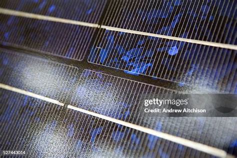 Solar PV Module 的图像结果
