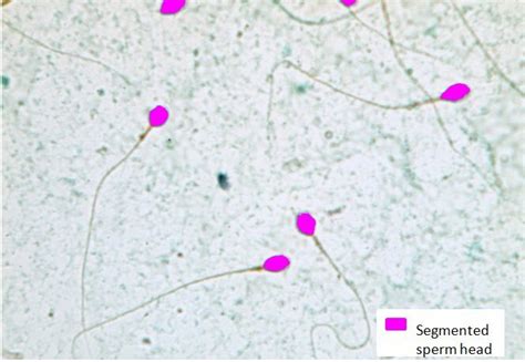 Image result for Mahalanobis Distance Example