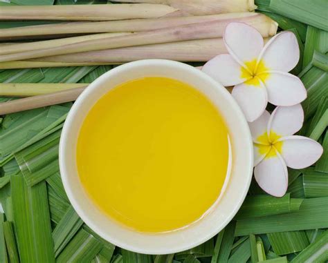 Citronella Oil - 6 Side Effects and 2 Precautionary Tips