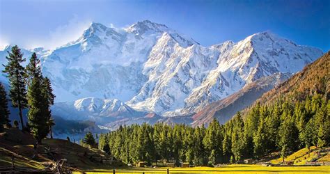 Nanga Parbat - Snowland