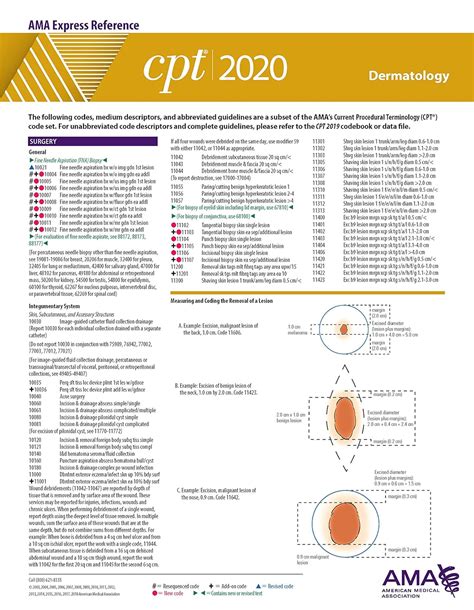 Image result for CPT Coding Guidelines 2020