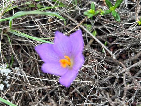 WALKIN' SAGRES (2026) All You Need to Know BEFORE You Go (with Photos ...