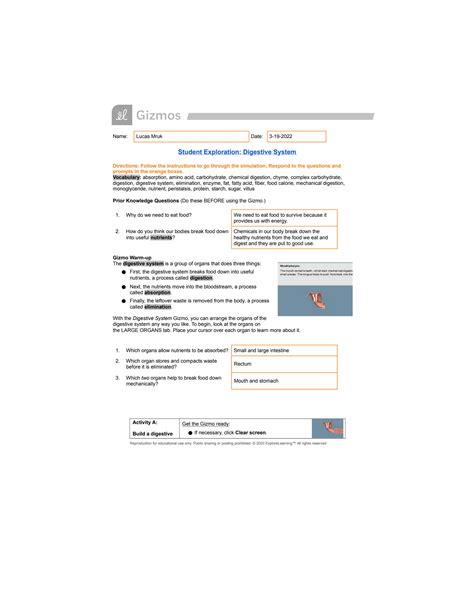 SOLUTION: Human Functional Anatomy HT 10 - Copy of Digestive System ...