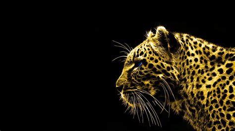 Black Cheetah Wallpapers - Top Free Black Cheetah Backgrounds ...