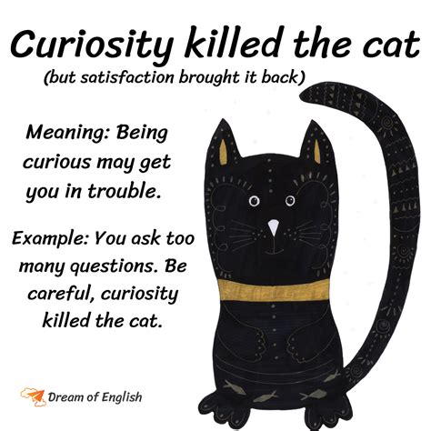 Curiosity killed the cat | Curiosity killed the cat, Learning english ...