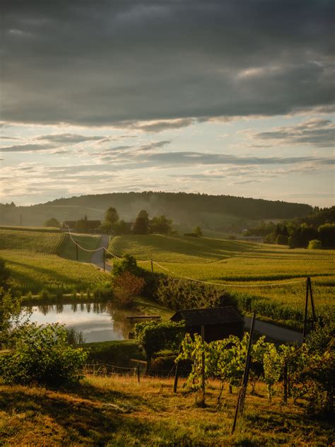 KLEINeFARM – Hof der Vielvalt — We Farm Diversity
