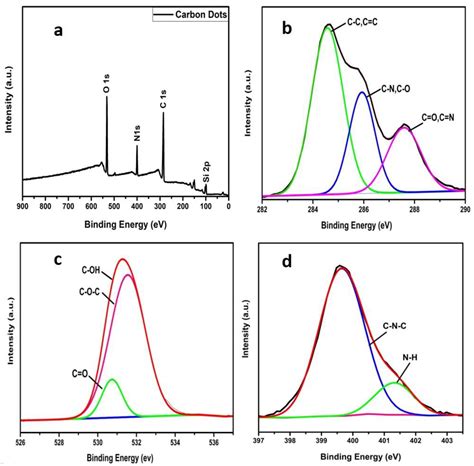 Carbon Dots Conjugated Antibody as an Effective FRET-Based Biosensor ...