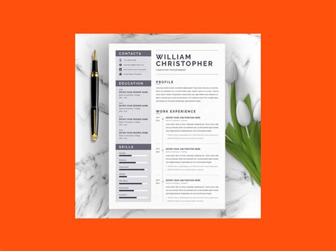 Computer Programmer Resume 的图像结果