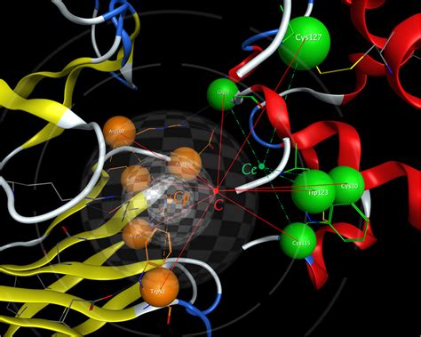 Image result for Surface Structure Shell