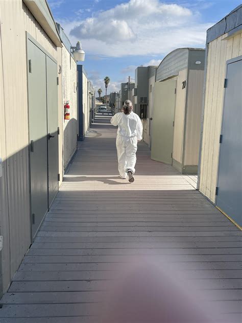 Never ending battle against dreaded Medfly centered around Los Al operation | The Event News ...