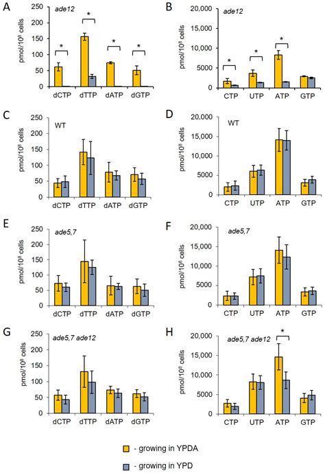 Vulnerable Nucleotide Pools and Genomic Instability in Yeast Strains ...